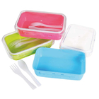 Transparent Single Layer Lunch Box