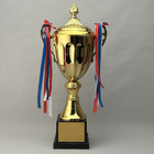 Trophy Cup
