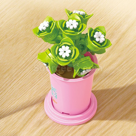 Coffee Cup Plant Series Building Blocks-12 Constellations Succulent Series
