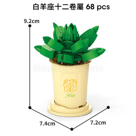 Coffee Cup Plant Series Building Blocks-12 Constellations Succulent Series