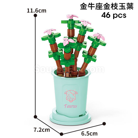 Coffee Cup Plant Series Building Blocks-12 Constellations Succulent Series
