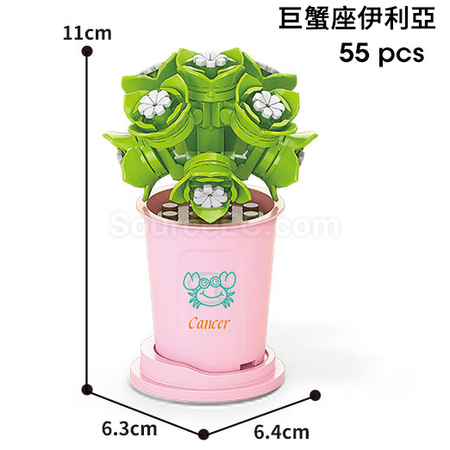 Coffee Cup Plant Series Building Blocks-12 Constellations Succulent Series