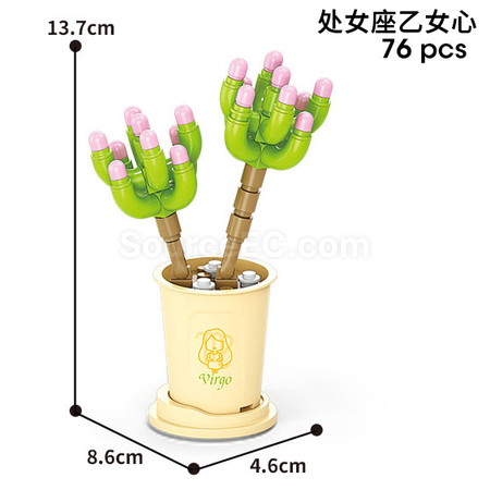 Coffee Cup Plant Series Building Blocks-12 Constellations Succulent Series