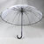 16K Transparent Umbrella