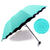 Water Activated Color Changing Flower Print Umbrella