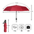 Fan Umbrella Gift Set