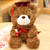 Graduation Bear