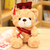 Graduation Bear