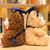 Graduation Bear