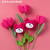 Graduates Knitting Bouquets