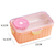 Transparent Salad Lunch Box
