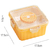 Transparent Salad Lunch Box