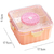 Transparent Salad Lunch Box
