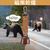Outdoor Bear-proof Bear Bell with Whistle