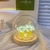 Tulip Night Light