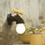 Creative Faucet Night Light
