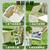 Folding Pull Cart with Cover