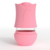 Rose Silicone Facial Mask Ice Cube Tray