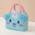 Insulated and refrigerated lunch box bag