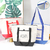 Zippered Insulated Bag