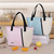 Zippered Insulated Bag