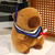 Graduation Capybara Toy