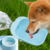 Pet outdoor water feeder