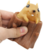 Squirrel Cup Stress-Relief Squishy and Stretchable Toy