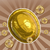 Golden Coin Turtle Toy