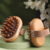 Meridian brush massager