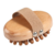 Meridian brush massager