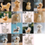 Cute Puppy Transparent Hair Storage Box
