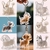 Cute Puppy Transparent Hair Storage Box