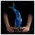 Crystal Whale Award