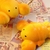 Stress-relief toys