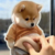 Big-Bellied Puppy Squeezeable Toy Stress Reliever Sticker