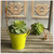 Double-Eared Wrought Iron Desktop Mini iron Bucket