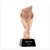 Creative Metal Trophy