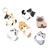 Cat access control card holder