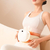 Bian Stone Abdominal Massager