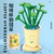 Coffee Cup Plant Series Building Blocks-12 Constellations Series
