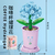 Coffee Cup Plant Series Building Blocks-12 Constellations Series