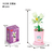 Coffee Cup Plant Series Building Blocks-The 12 Zodiac Signs' Guardian Flower Collection