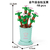 Coffee Cup Plant Series Building Blocks-12 Constellations Succulent Series