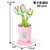 Coffee Cup Plant Series Building Blocks-12 Constellations Succulent Series