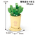 Coffee Cup Plant Series Building Blocks-12 Constellations Succulent Series