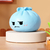 Bunny Squeeze Stress Relief Toy
