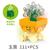 Emoji Succulent Plant Building Blocks Box