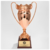 Large Metal Trophy
