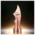 Creative  Metal Trophy